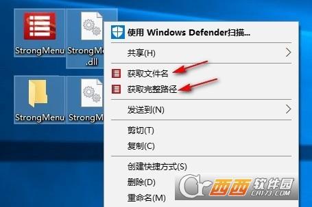 文件完整路径获取工具,批量获取文件名,strongmenu.ocx错误.